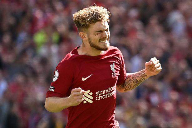 1661681853901095236.jpg 3.jpg